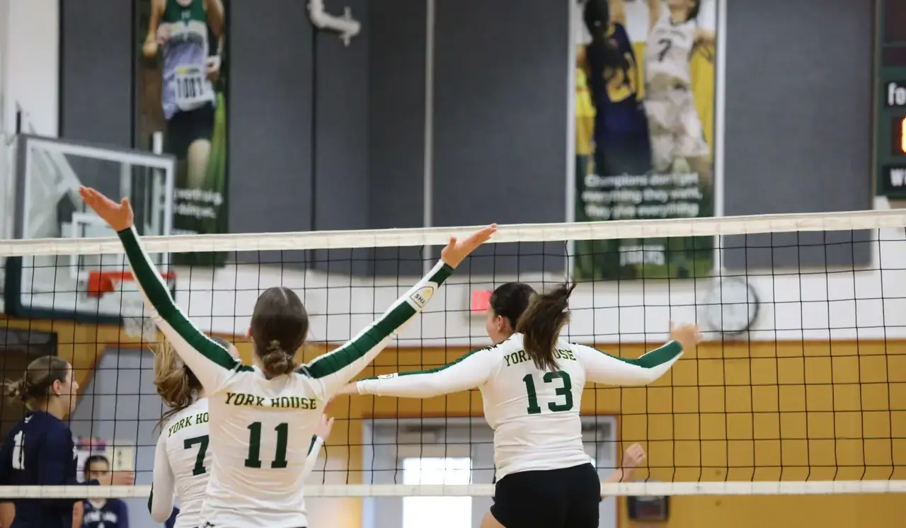 Badminton Celebration