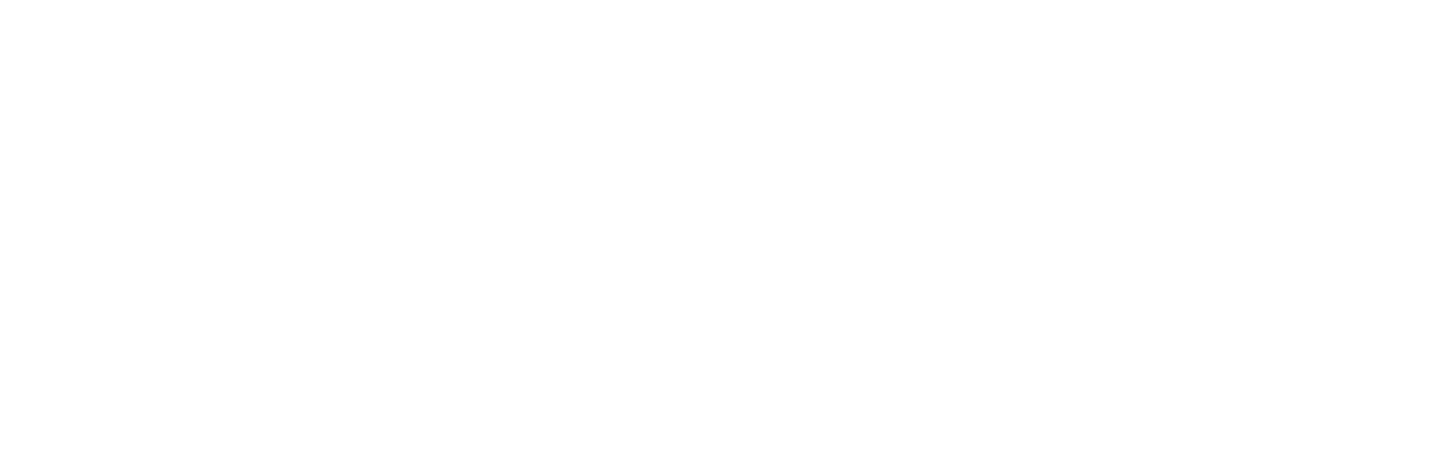 NAIS logo