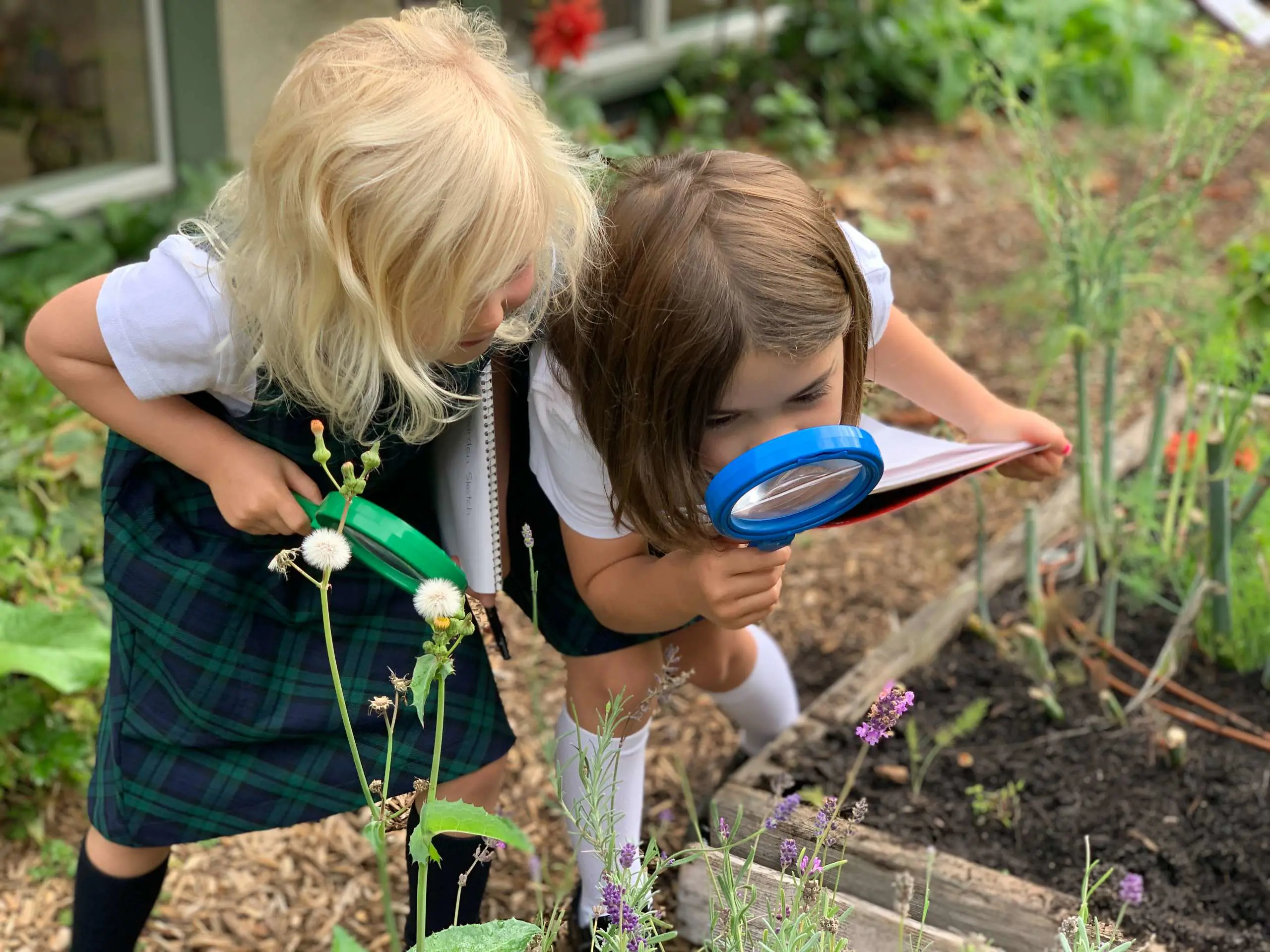 OptimizedImage,,,Optimized