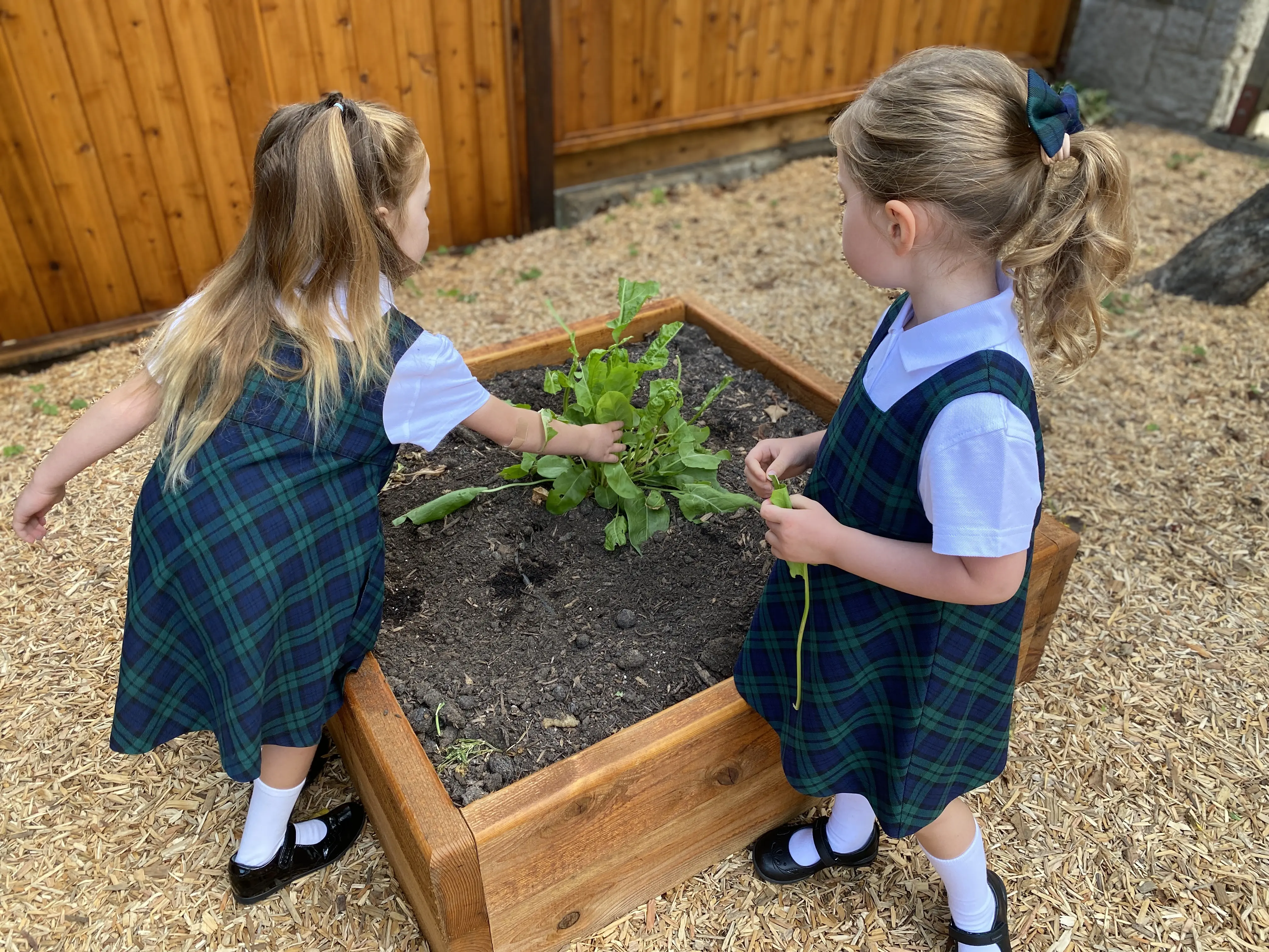  OptimizedImage,Little School,Garden,Learning,Reggio Emilia,Indigenous Learning,Spark,,Optimized