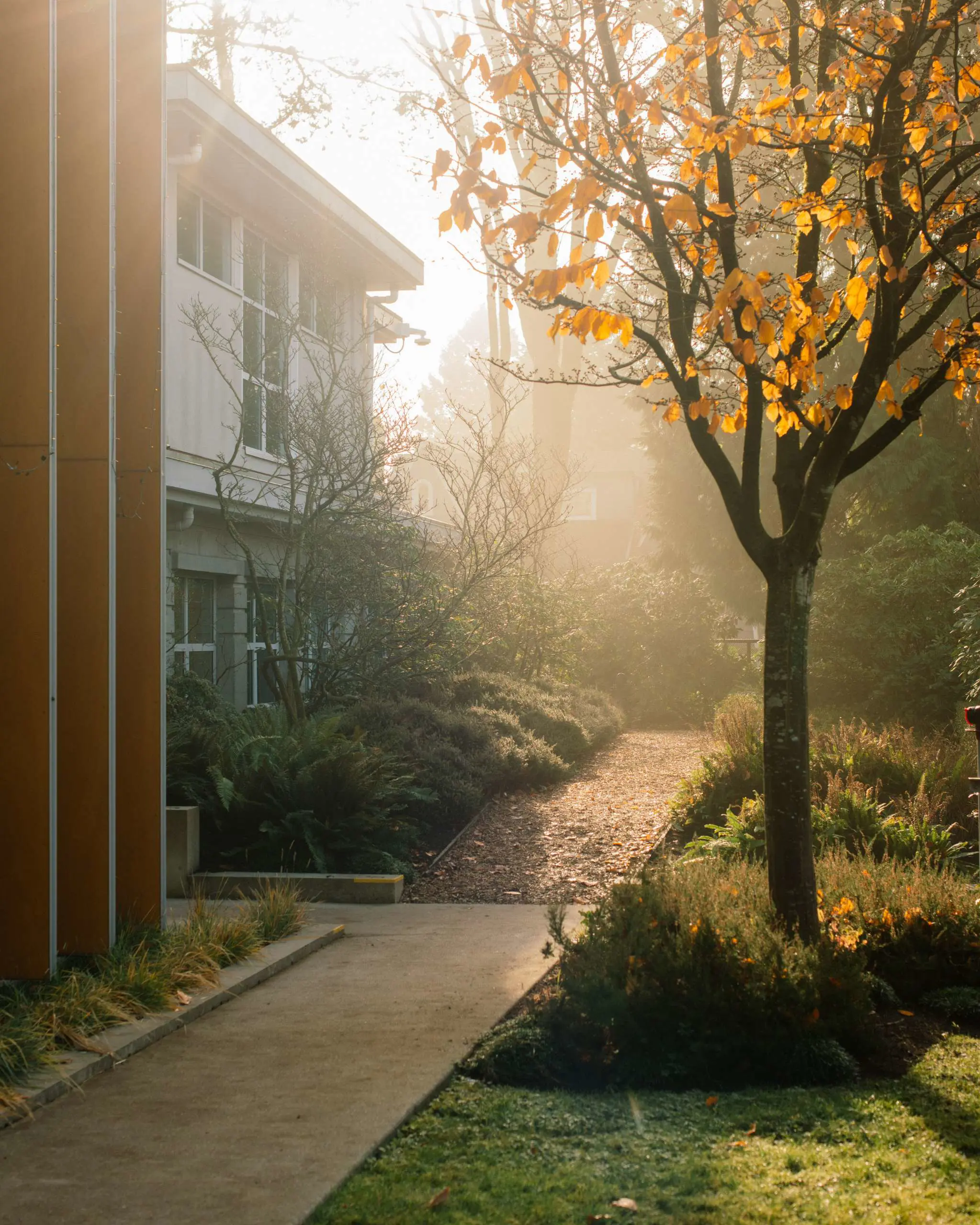 OptimizedImage,,,Optimized