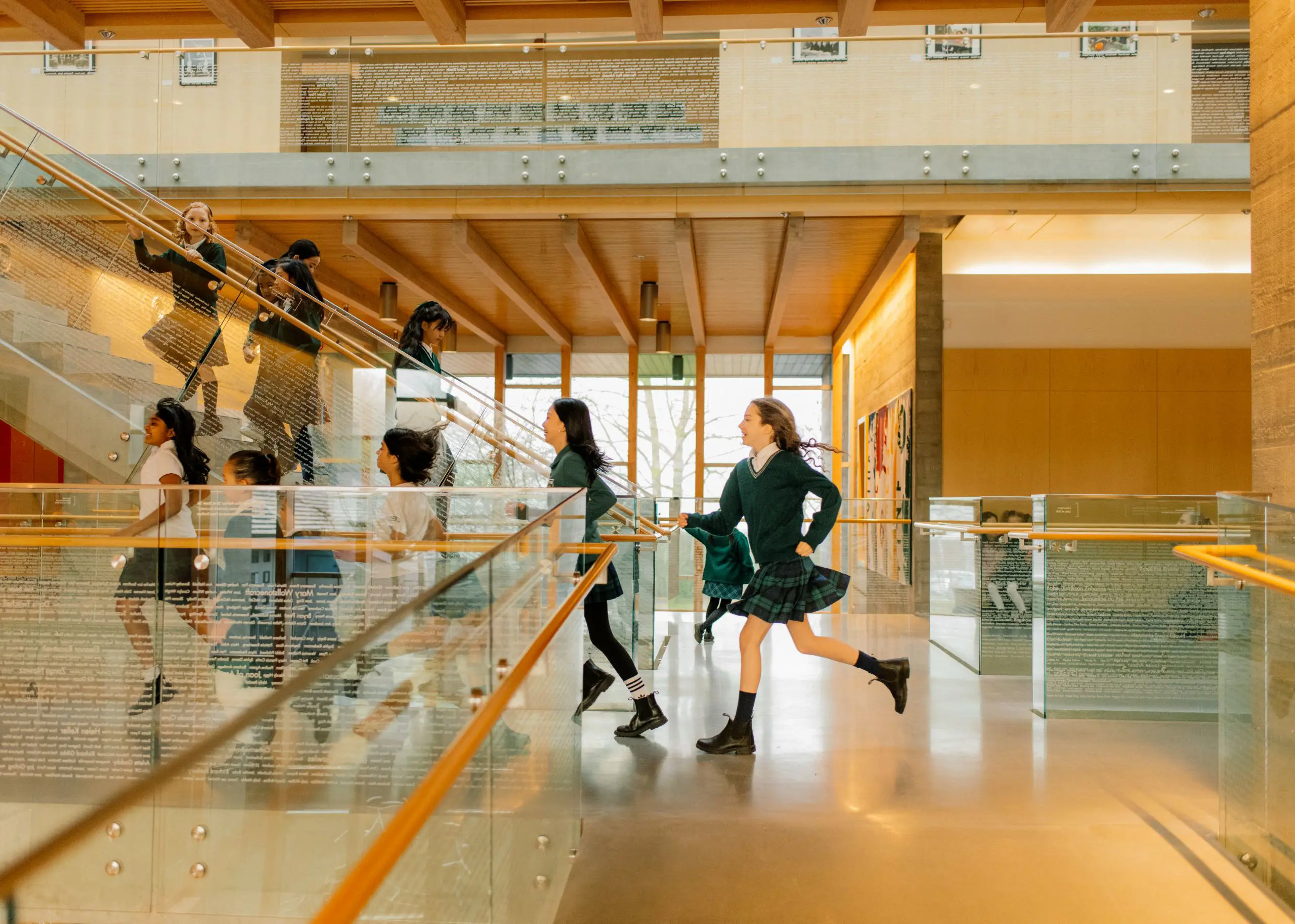  OptimizedImage,Optimized